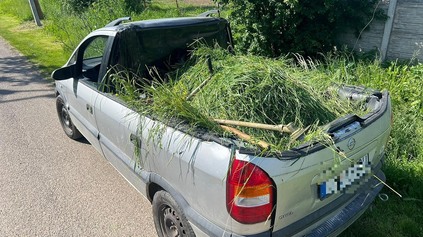 MUŽ NEMAL NA AUTE STRECHU, LEBO JU ODREZAL A VYROBIL KABRIOLET. CHCEL TAKTO VOZIŤ TRÁVU?!